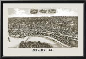 Moline IL 1889 Wellge Birdseye View Map
