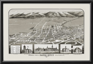 Napa CA 1880 Birds Eye View Map