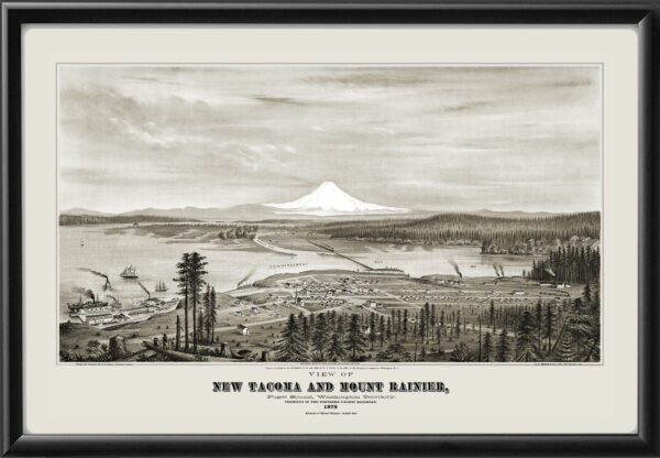 Tacoma WA 1878 ES Glover TM Birds Eye View Map