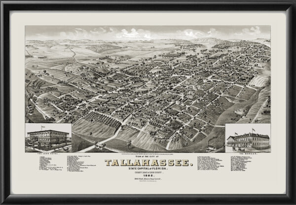 Tallahassee FL 1885 Wellge TM