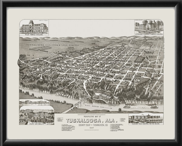 Tuscaloosa AL 1887 H. Wellge TM Bird's Eye View Map