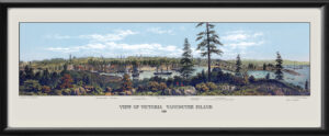 Victoria BC 1860 14x36 18x48 TM Bird's Eye View Map