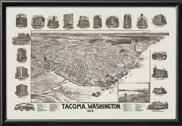 Tacoma WA 1884 JRMcIntyre TM Birds Eye View Map