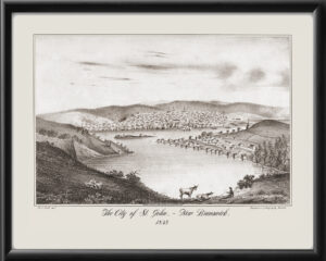 St. John New Brunswick 1835 Mary G. Hall TM Bird's Eye View Map