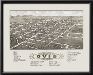 Ovid MI 1881 J.J. Stoner TM Bird's Eye View Map