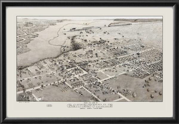 Gatesville TX 1884 Augustus Koch Tm Birds Eye View Map