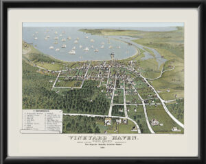 Vineyard Haven, Martha's Vineyard MA 1893 TM Birdseye View Map