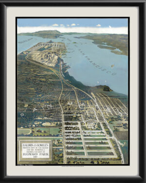 San Mateo 1907 Birds Eye View Map